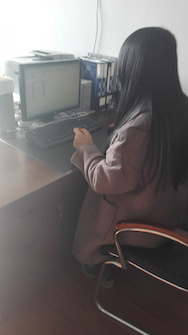 2月14日 经管 专业见习实践 软件实操