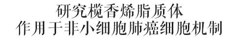 实验2
